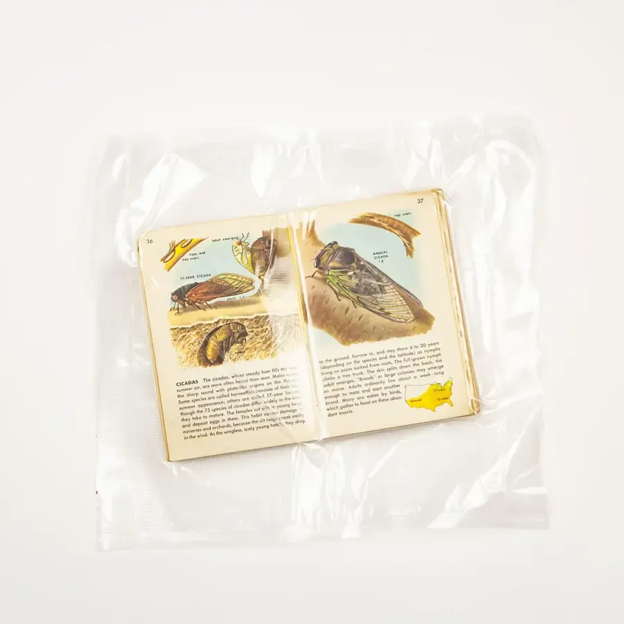 A field guide open at the cicada pages, vacuum-sealed in a plastic bag